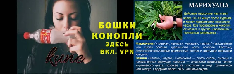 купить наркотик  Курган  Канабис Bruce Banner 